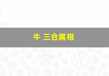 牛 三合属相